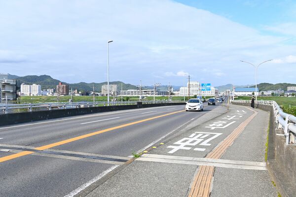 現在の田中橋。道路脇が膨らんだ所にかつて料金所の支柱があった