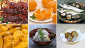 伊方町、佐田岬観光公社、ジオテクノロジーズ、伊方町の「食」の発信と関係…