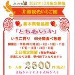 とちあいか食べ放題　12月限定イチゴ狩り　井頭観光いちご園