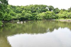 自然豊かな憩いの場