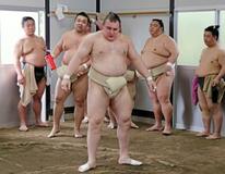 安青錦、全勝で出稽古打ち上げ