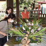 １市２町の神社で手水舎華やかに　神社と華道がコラボ　５社で花手水巡り
