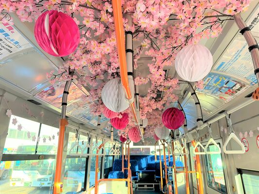 桜の装飾が施された「さくらバス」の車内