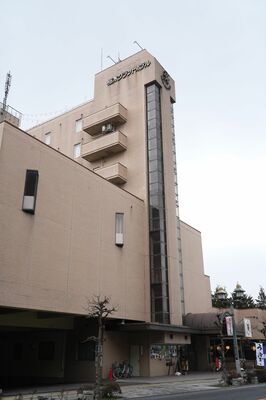 雇調金などの不正受給が指摘された栃木グランドホテルの施設外観＝12日午後、栃木市万町