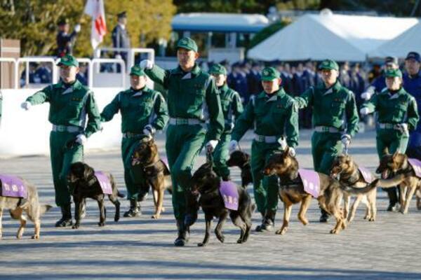 警視庁の「年頭部隊出動訓練」で行進する警察犬部隊=9日午前、東京都新宿区