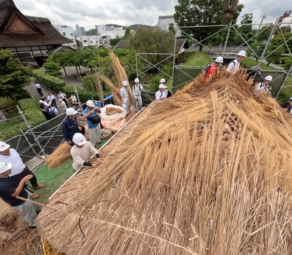 裏門の茅葺き屋根の葺き替え作業