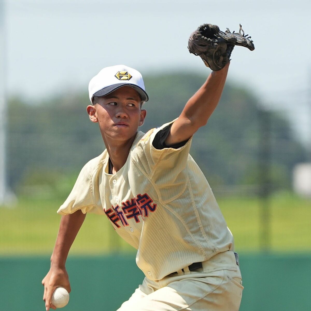 img_9607d6bc4b4cae86fde5635d8b