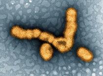 インフル流行、注意報レベルに