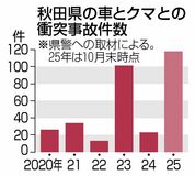 クマ衝突事故 前年比５倍　　