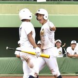 佐野日大や作新など８強　国学栃木は延長制す　秋季栃木県高校野球第７日