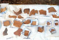 大分・大原古墳に埴輪多数
