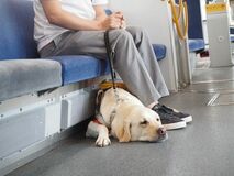 日本盲導犬協会「事業所従業員の盲導犬同伴利用に関する意識調査」