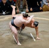 安青錦、豊昇龍を破り首位守る