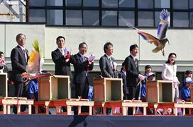 トキ放鳥、能登の空へ　