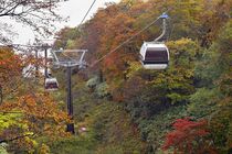 マウントジーンズ那須で紅葉最盛期