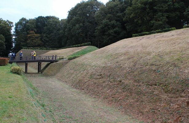 城を守る堀が残されている飛山城跡=2020年11月06日