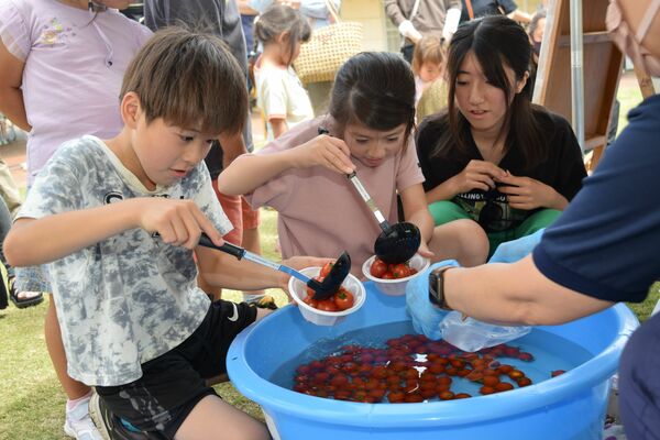 真剣な表情でミニトマトをすくう子どもたち