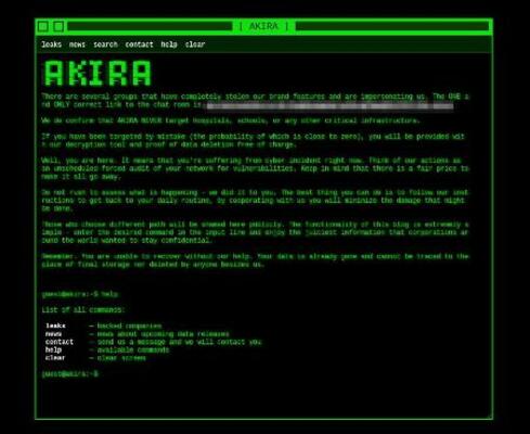 　ハッカーが身代金を要求するサイトの画面（ハッカーの連絡先をモザイク加工しています）