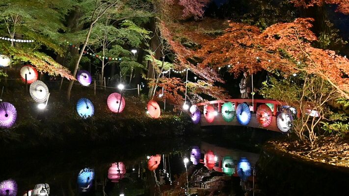 ライトアップされた和傘と紅葉