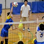 バレーボール男子 足利大付圧倒Ｖ３　女子は国学院栃木 逆転で36度目王…