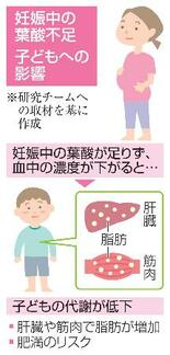 【からだ・こころナビ】葉酸不足で子どもに肥満リスク
