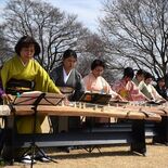 春の訪れ楽しむ音の調べ　下野・天平の丘で桜歌会　桜の気配に「また来ます」