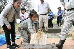 児童ら昔の民具で米収穫