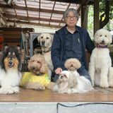 知ってる？セラピー犬　鹿沼に全国でも珍しいカフェ　癒やし求めて年間６千人来店