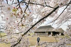 桜町陣屋跡（真岡）