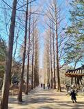 感動よみがえる撮影地