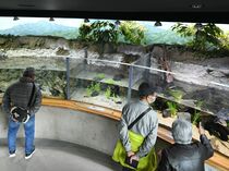 なかがわ水遊園「おもしろ魚館」再開