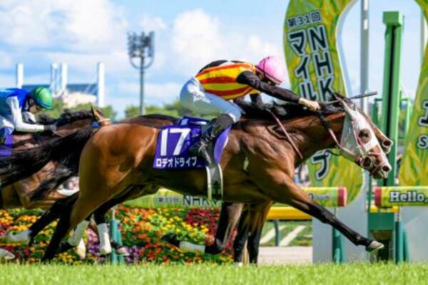第31回NHKマイルカップを制したロデオドライブ(手前)=東京競馬場
