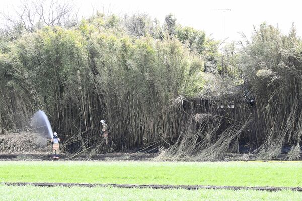 火災のあった竹藪＝13日午後０時40分、栃木市大平町新