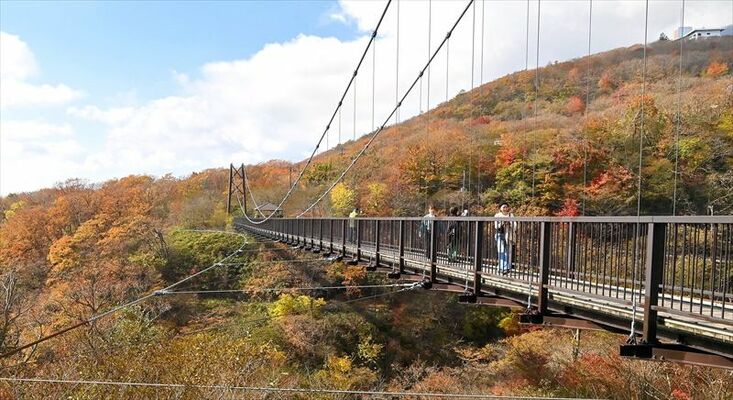 赤や黄に染まった「つつじ吊橋」周辺の紅葉＝31日午前10時、那須町湯本