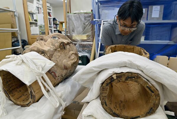 解体した面部の木材を調査する大山助教
