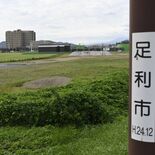【独自】足利市庁舎と新市民会館　旧競馬場跡地に移転、複合施設に　現在は…