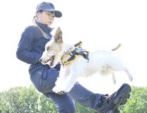 本県に小型警察犬