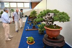 秋を感じる盆栽 竹工芸など並ぶ