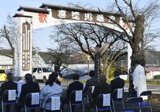 さくら市のシンボル、伐採開始へ　早乙女桜並木の再整備で神事