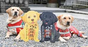 御朱印で盲導犬支援