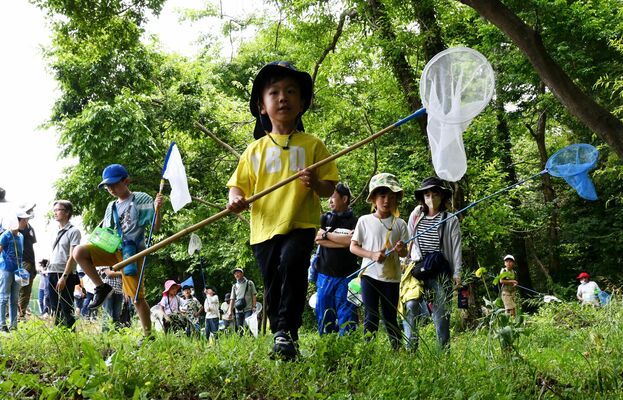 雑木林で虫を探す子どもたち