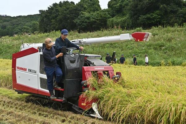 コンバインで収穫する生徒ら