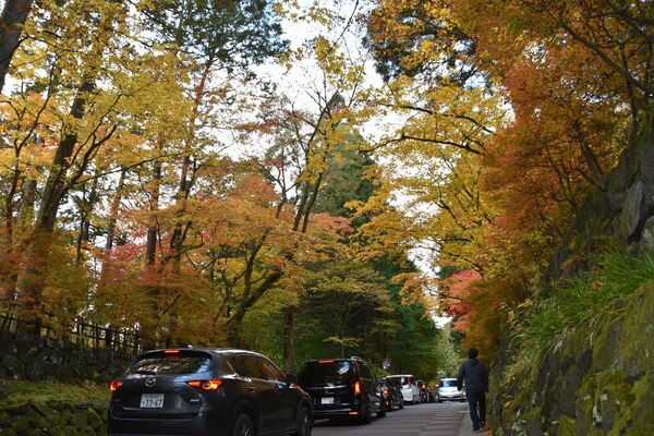 紅葉が見頃を迎えた山内の「華蔵院の坂」