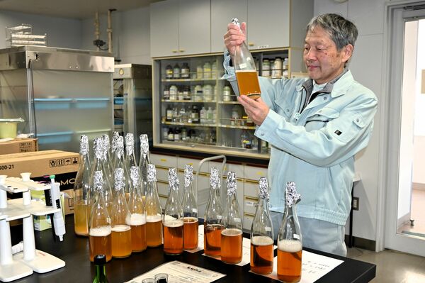 県内の酒造会社から頼まれた培養酵母を確かめる岡本主任研究員＝県産業技術センター