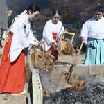 冬に備え「落ち葉たき」日光二荒山神社中宮祠　秋と冬が同居する奥日光「気持ち良くお参りいただければ」