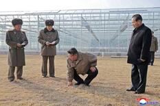 北朝鮮で温室農場が完成間近
