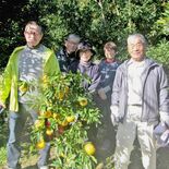 「茂木のユズ湯」、東京・下町の老舗銭湯で人気　女将は茂木出身、毎年冬に…