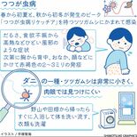 つつが虫病　だるさや発熱、発疹も　初期段階で適切な治療を【白鷗大・岡田…