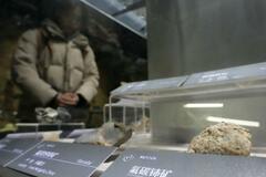 中国、規制後に対日輸出許可