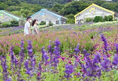 とちぎ花センターで無料開放